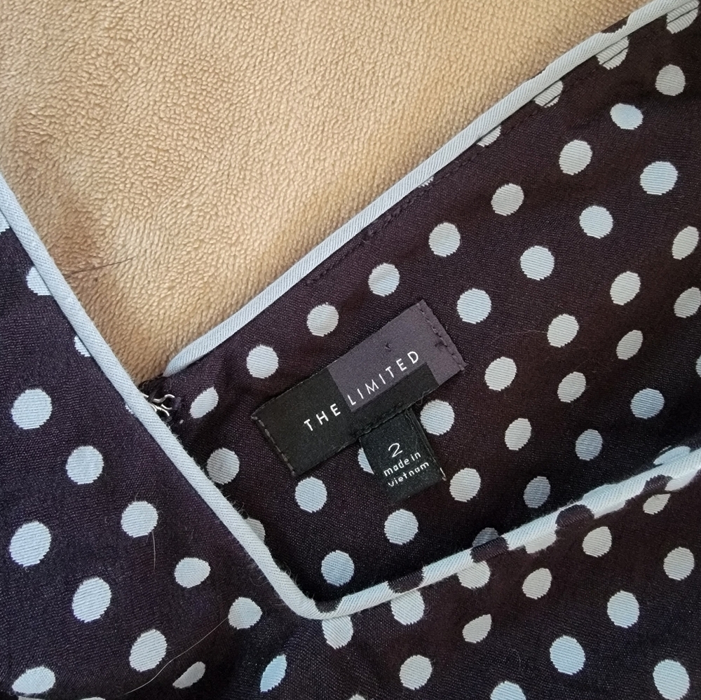 The Limited Polka Dot Sleeveless V Neck Sheath Dress - Picture 9 of 12